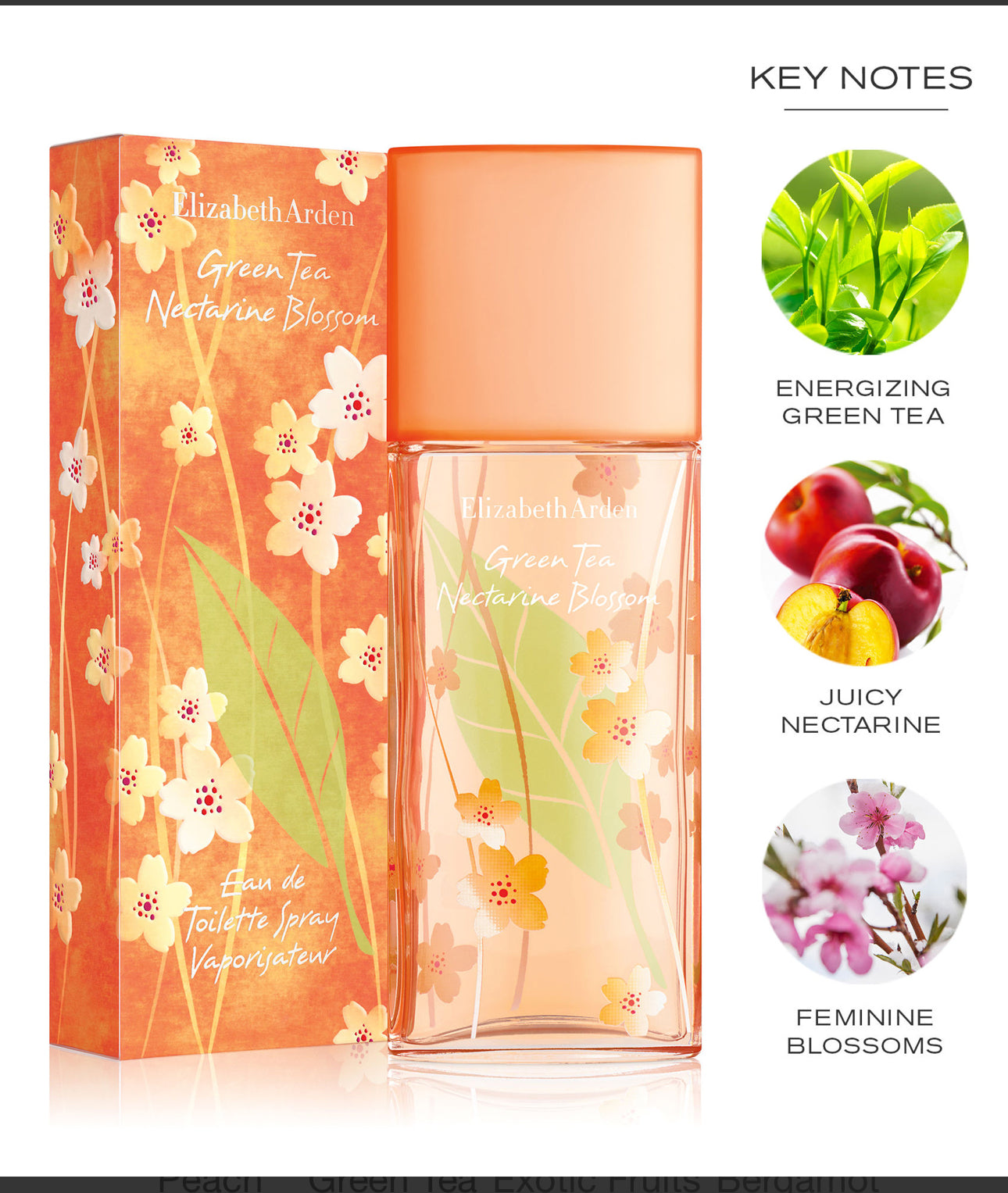 Green Tea Nectarine Blossom by Elizabeth Arden - 50ml