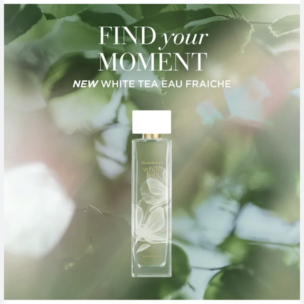 Elizabeth Arden White Tea - Eau Fraiche (50ml) - Image 2